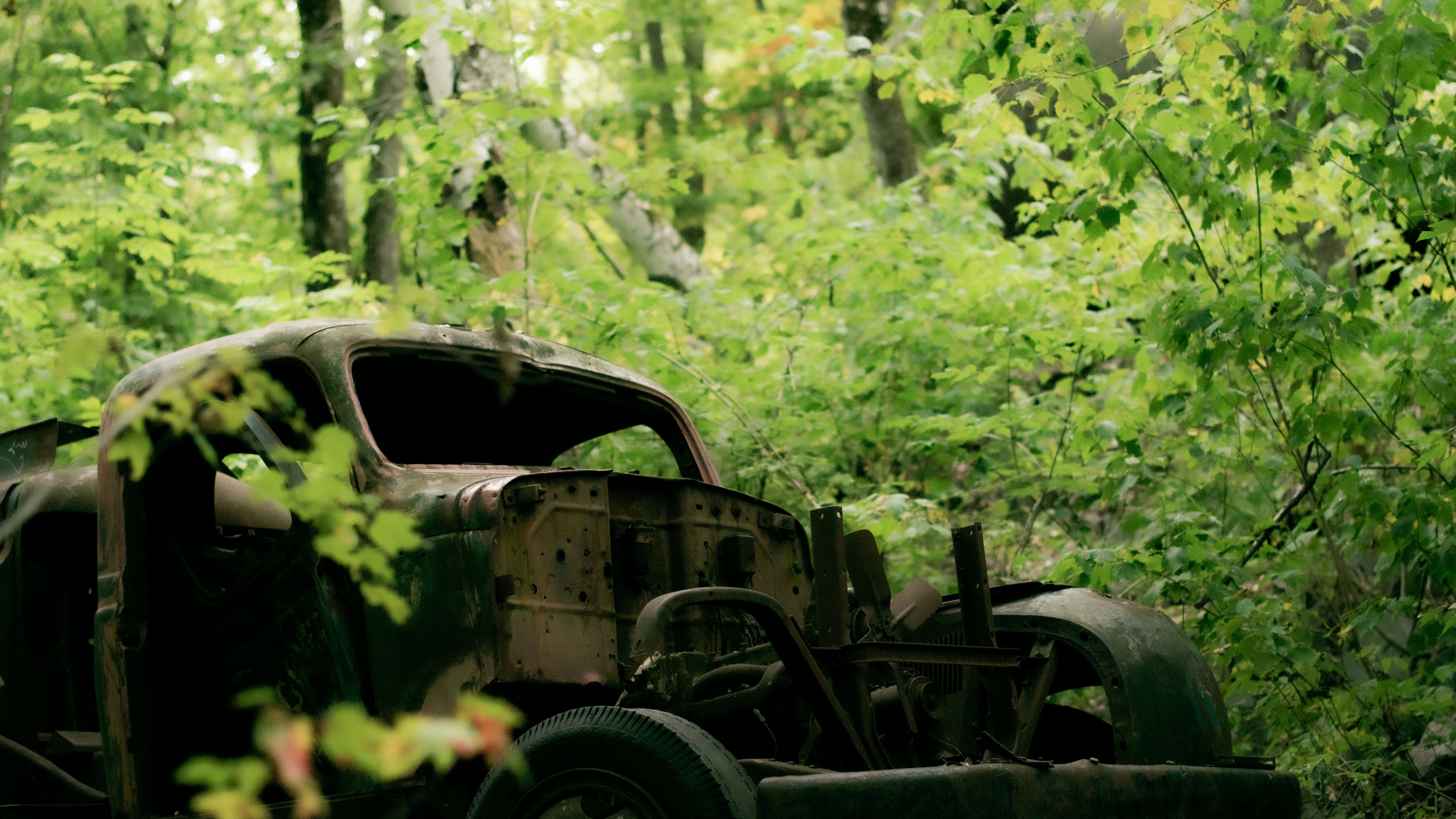 green and black tractor in forest during daytime