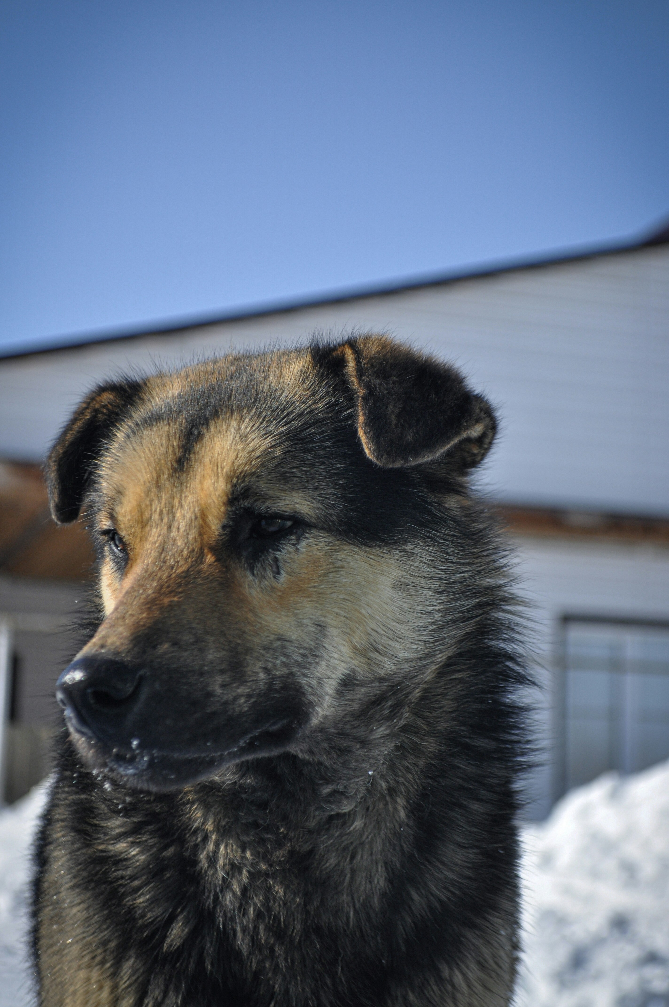 Photo by viidyak
