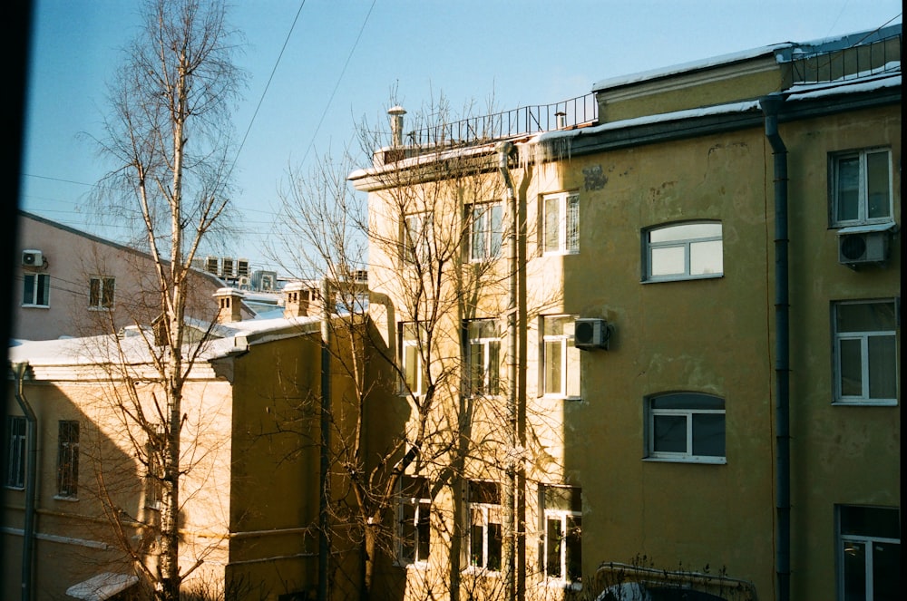 Braunes Betongebäude in der Nähe von kahlen Bäumen unter blauem Himmel tagsüber