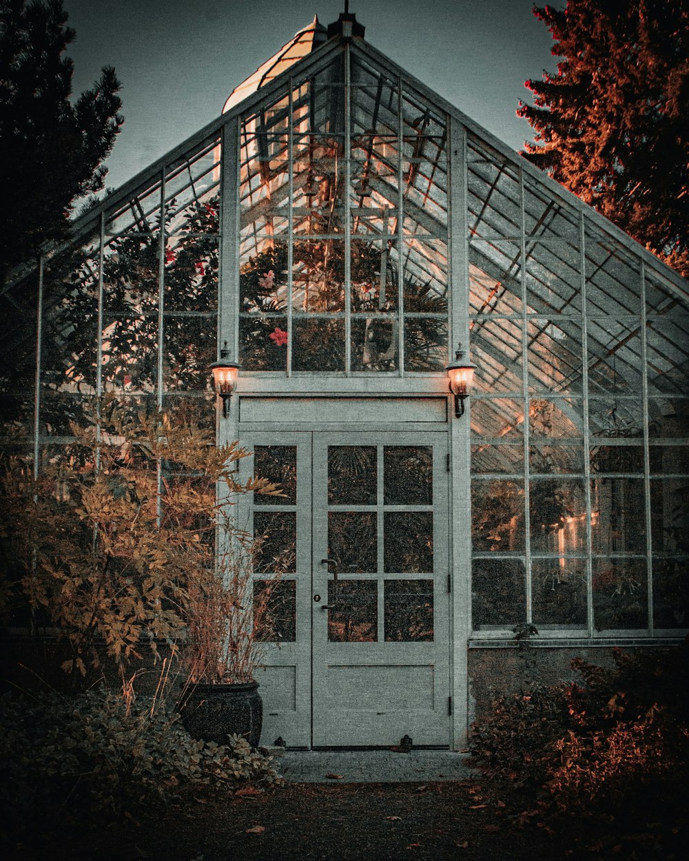 white wooden framed glass window