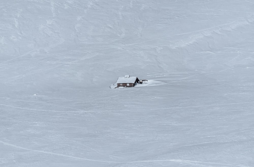 昼間は雪に覆われた地面を走る白と黒の車