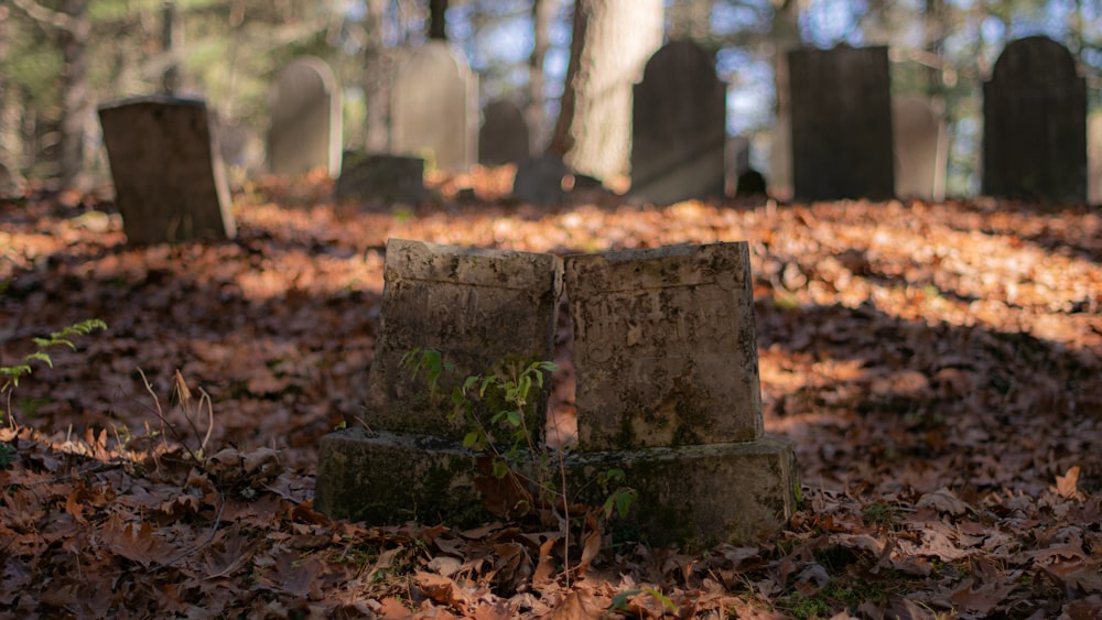 brown concrete blocks on ground