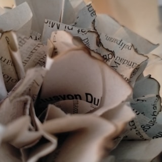 A close-up view of crumpled and partially burned pages from a book or document. The text on the paper is partially visible, with some areas showing singed edges, indicating exposure to heat or fire. The image captures a sense of chaos and disorder in the arrangement of the papers.