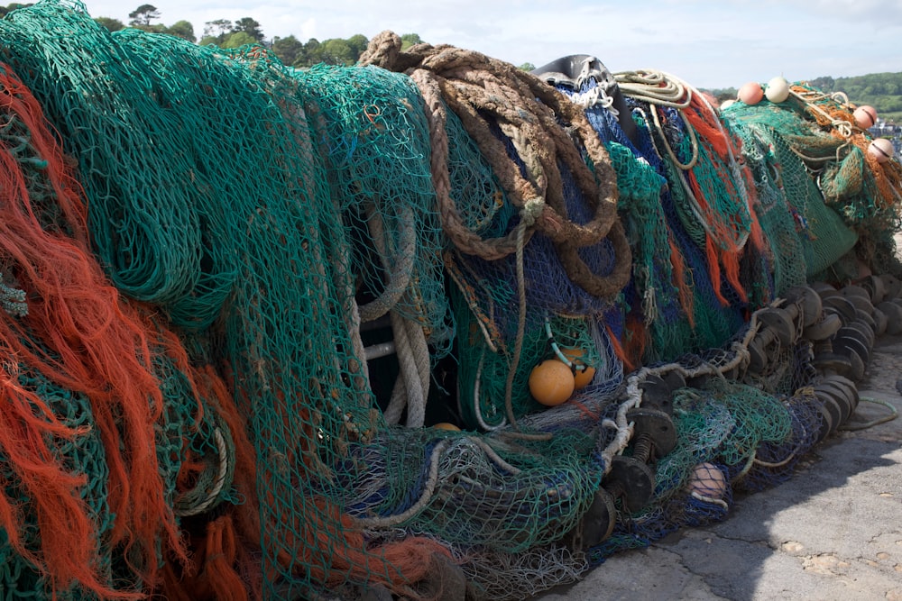 orange and white eggs on brown and green net