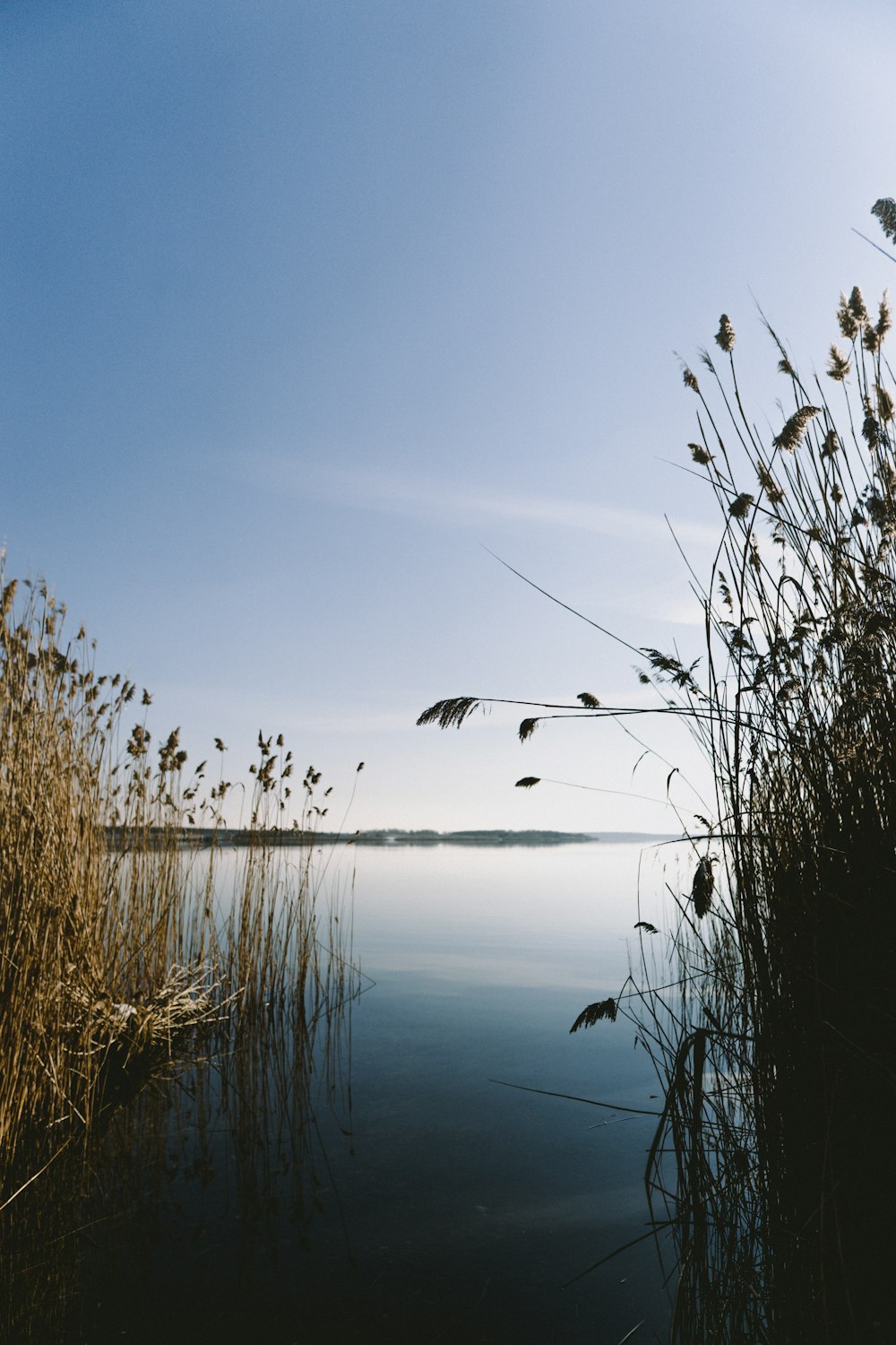 body of water under blue sky during daytime