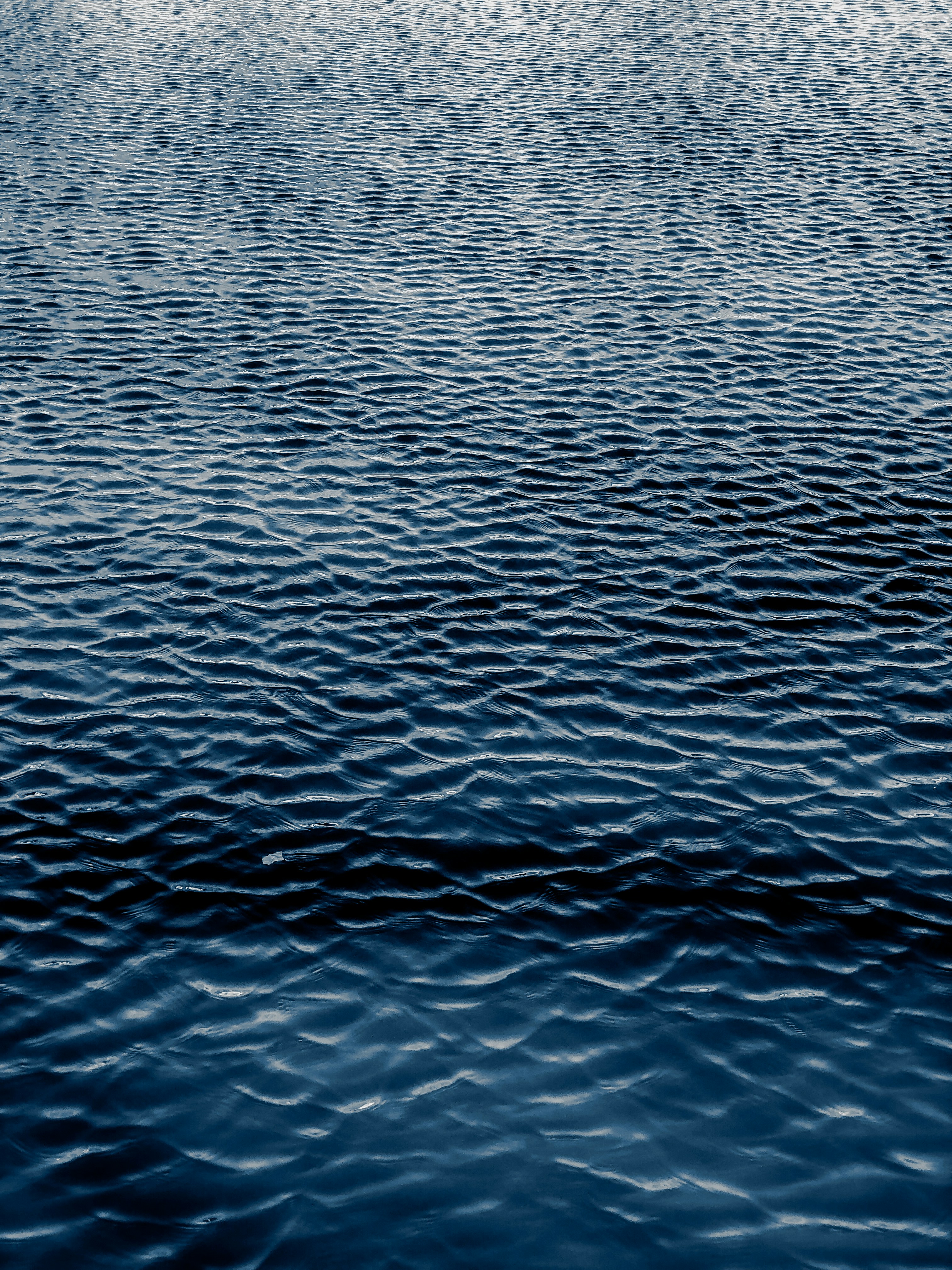 Photo by dylanhendricks