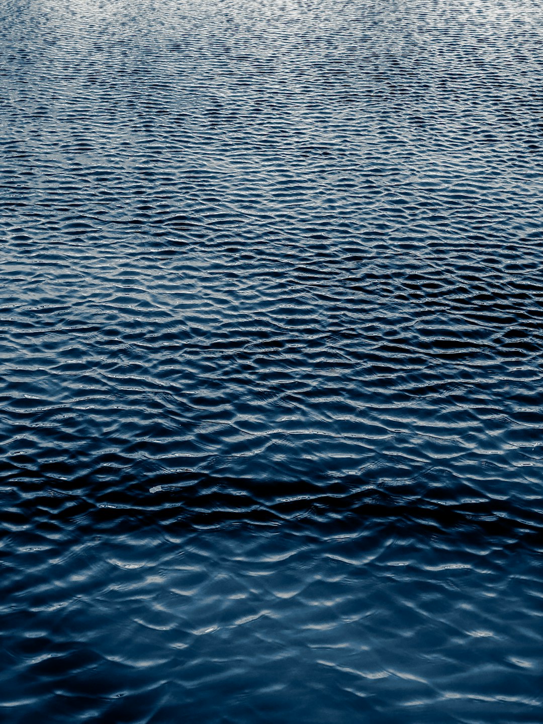 body of water during daytime