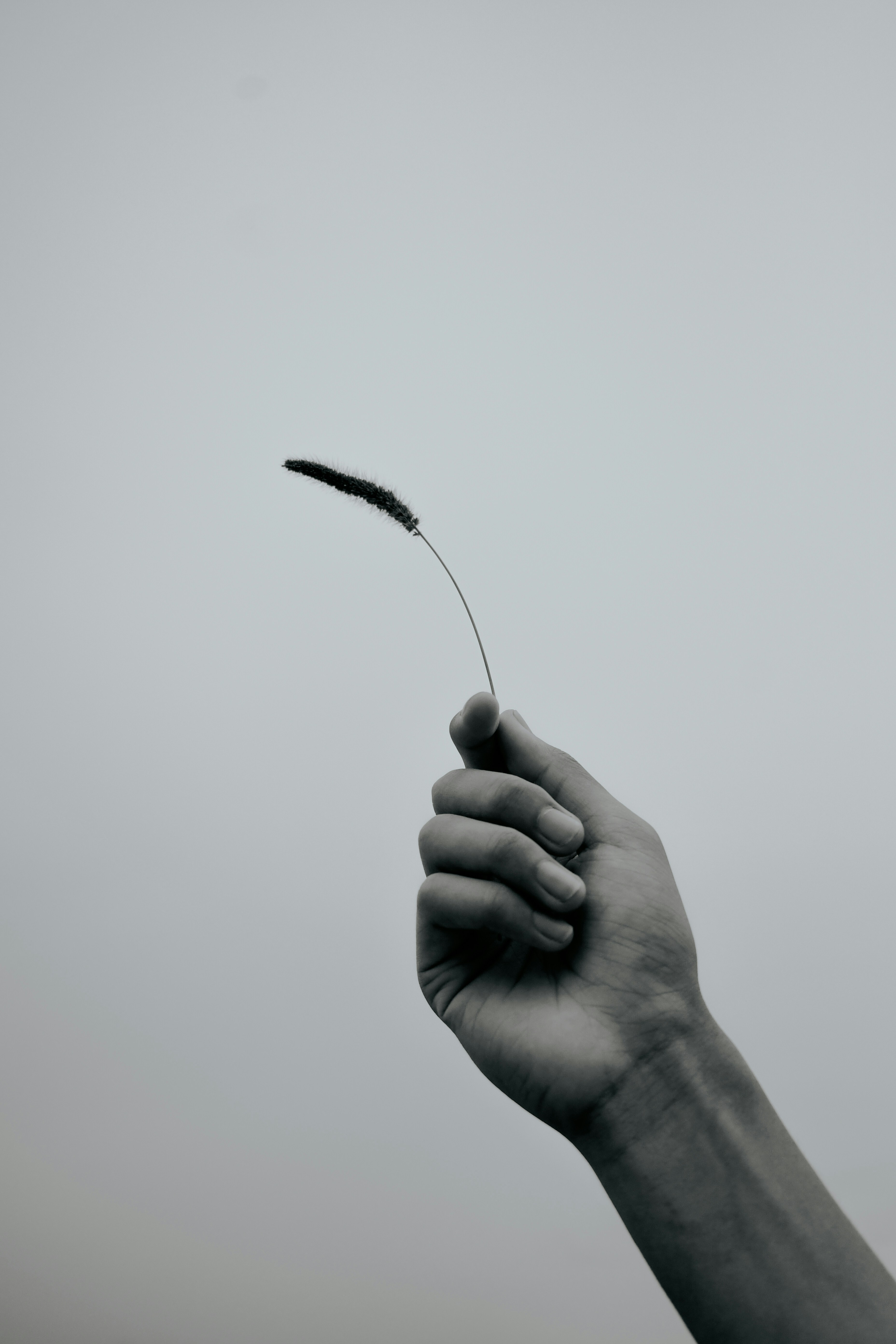 500 Monochrome Pictures Hd Download Free Images On Unsplash