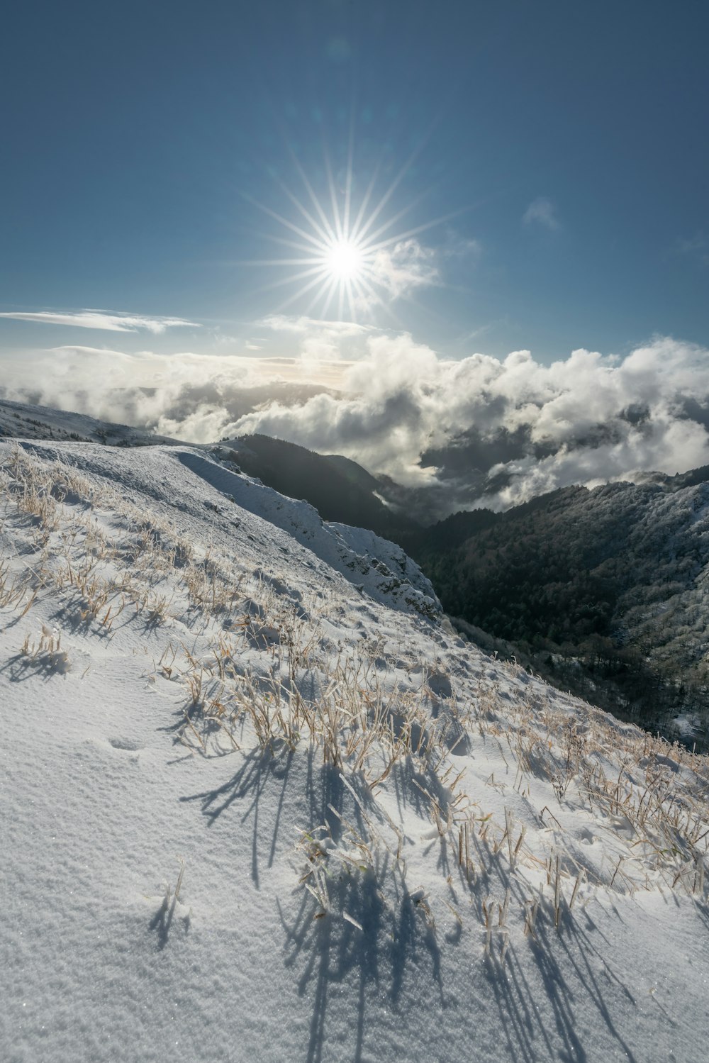 snow covered mountain under blue sky during daytime