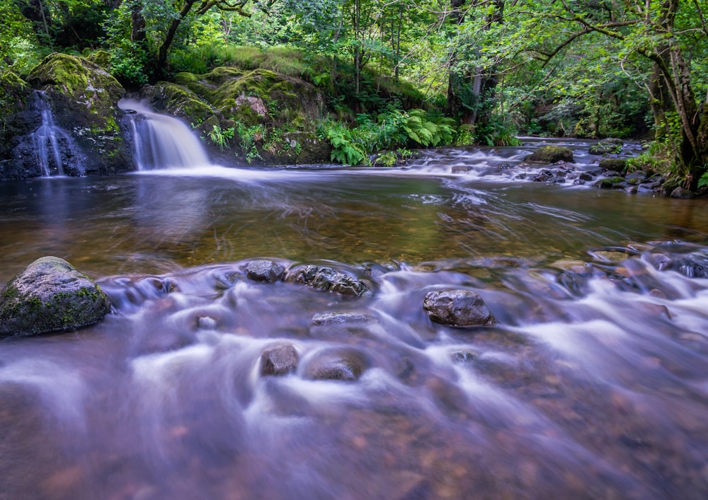 water falls in the middle of green trees