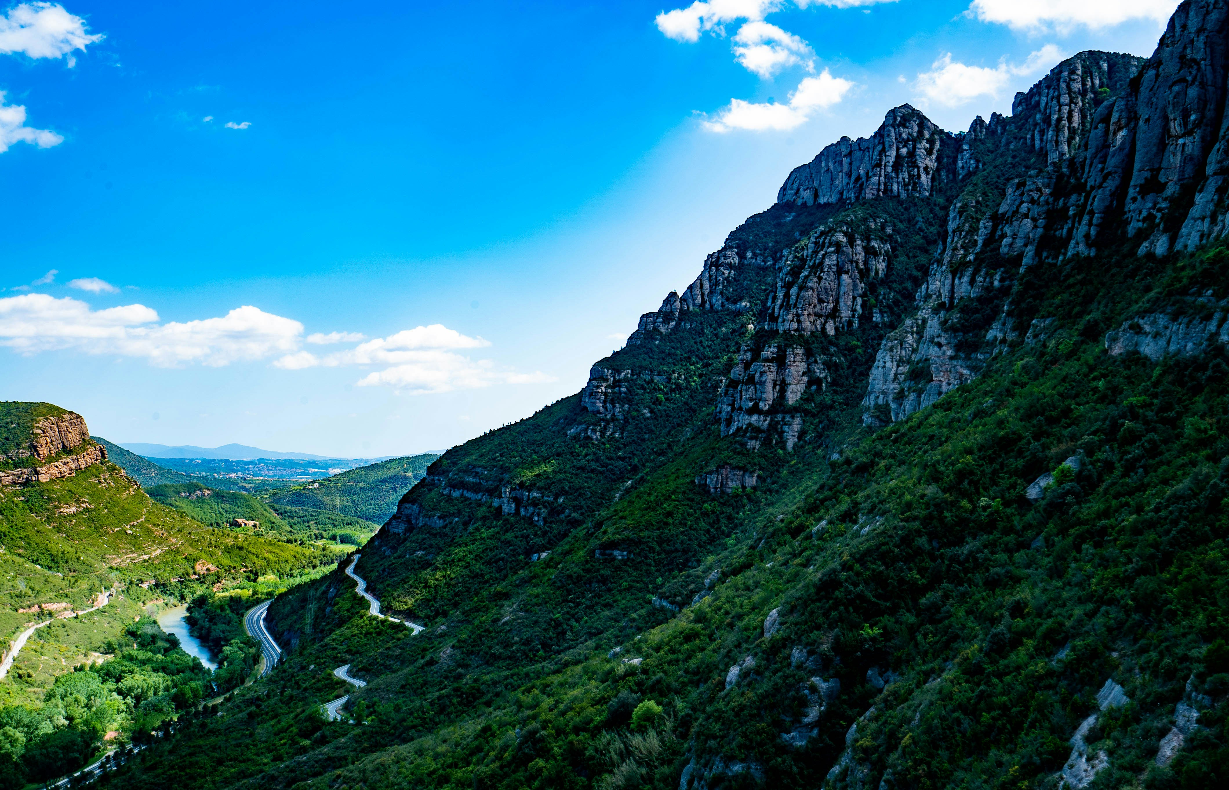 Photo by bigtreevideo