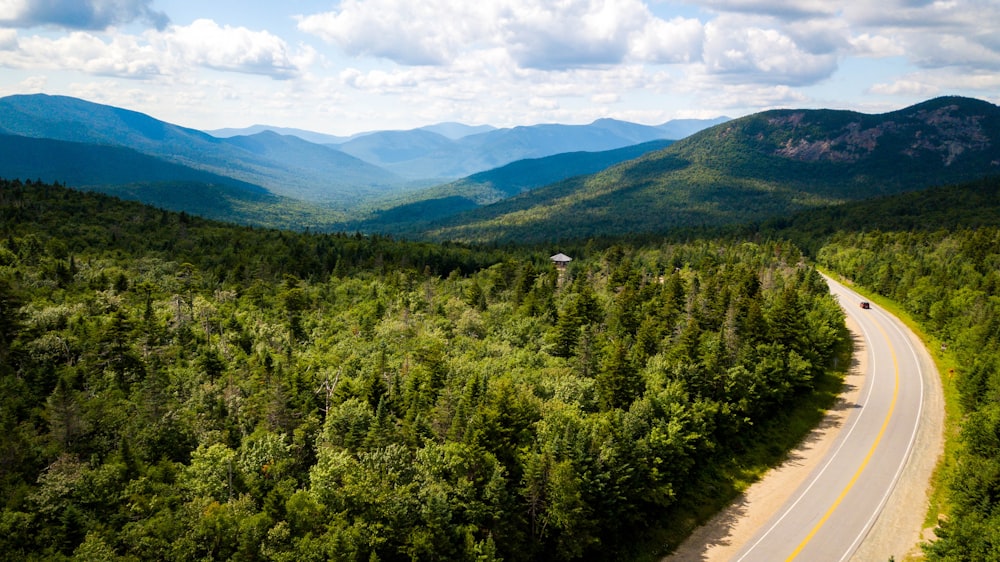 green trees near road under white clouds and blue sky during daytime