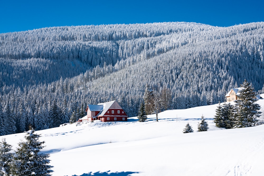 Casa marrón y blanca en suelo nevado