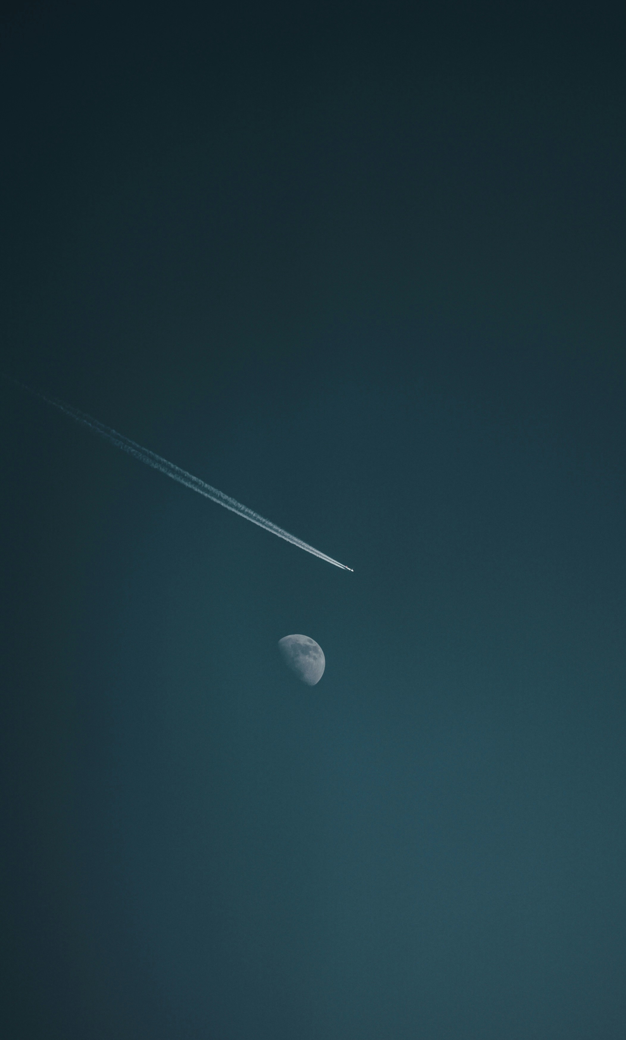 Photo by omarvellous14