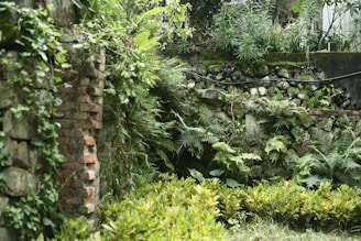 A vibrant botanical garden patch bursting with herbs and wildflowers, framed by stone walls.