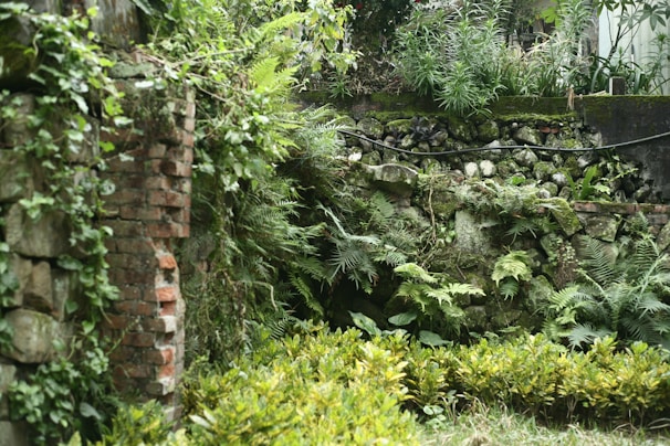 A vibrant botanical garden patch bursting with herbs and wildflowers, framed by stone walls.