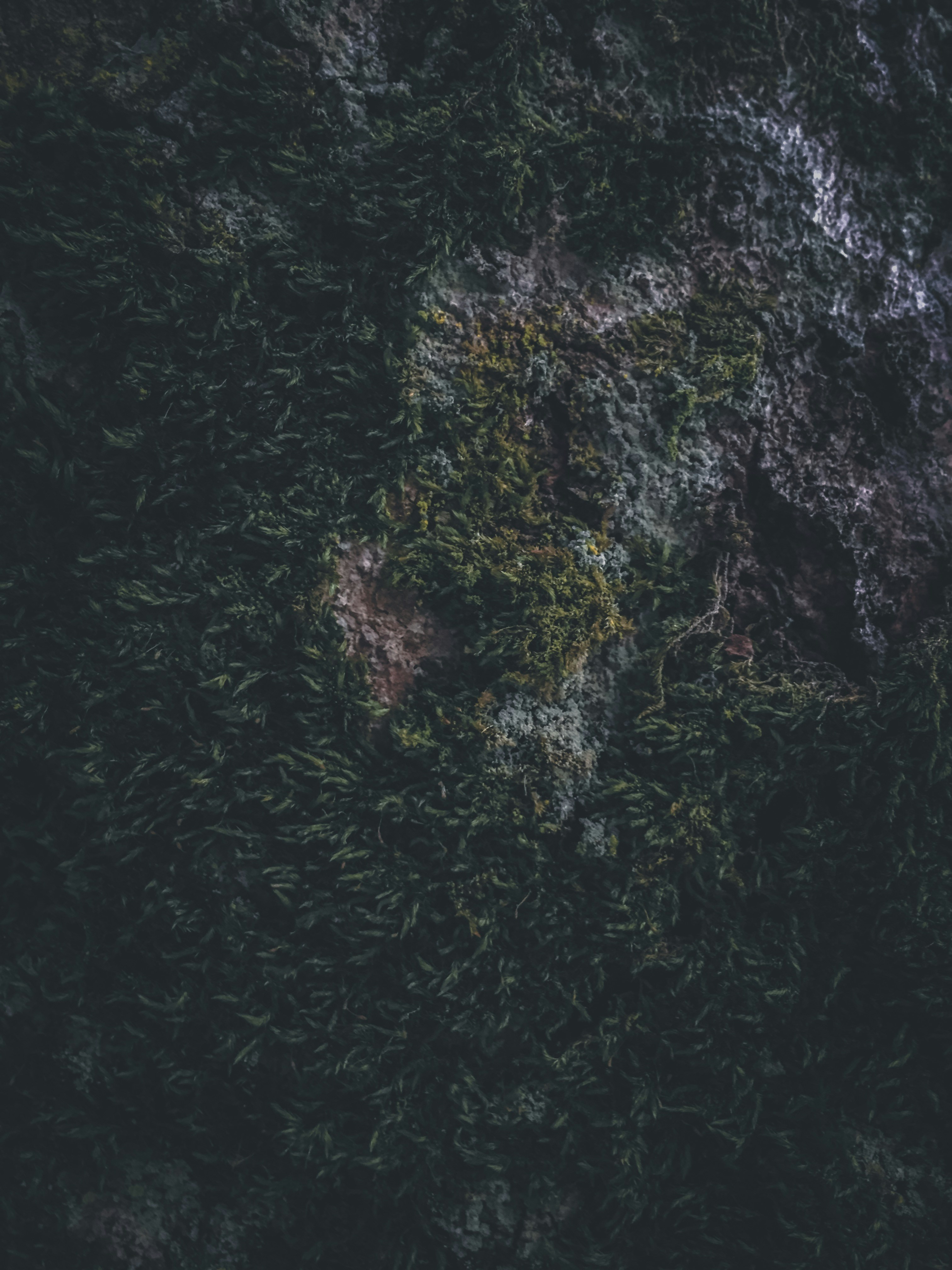 Photo by soimjulian_