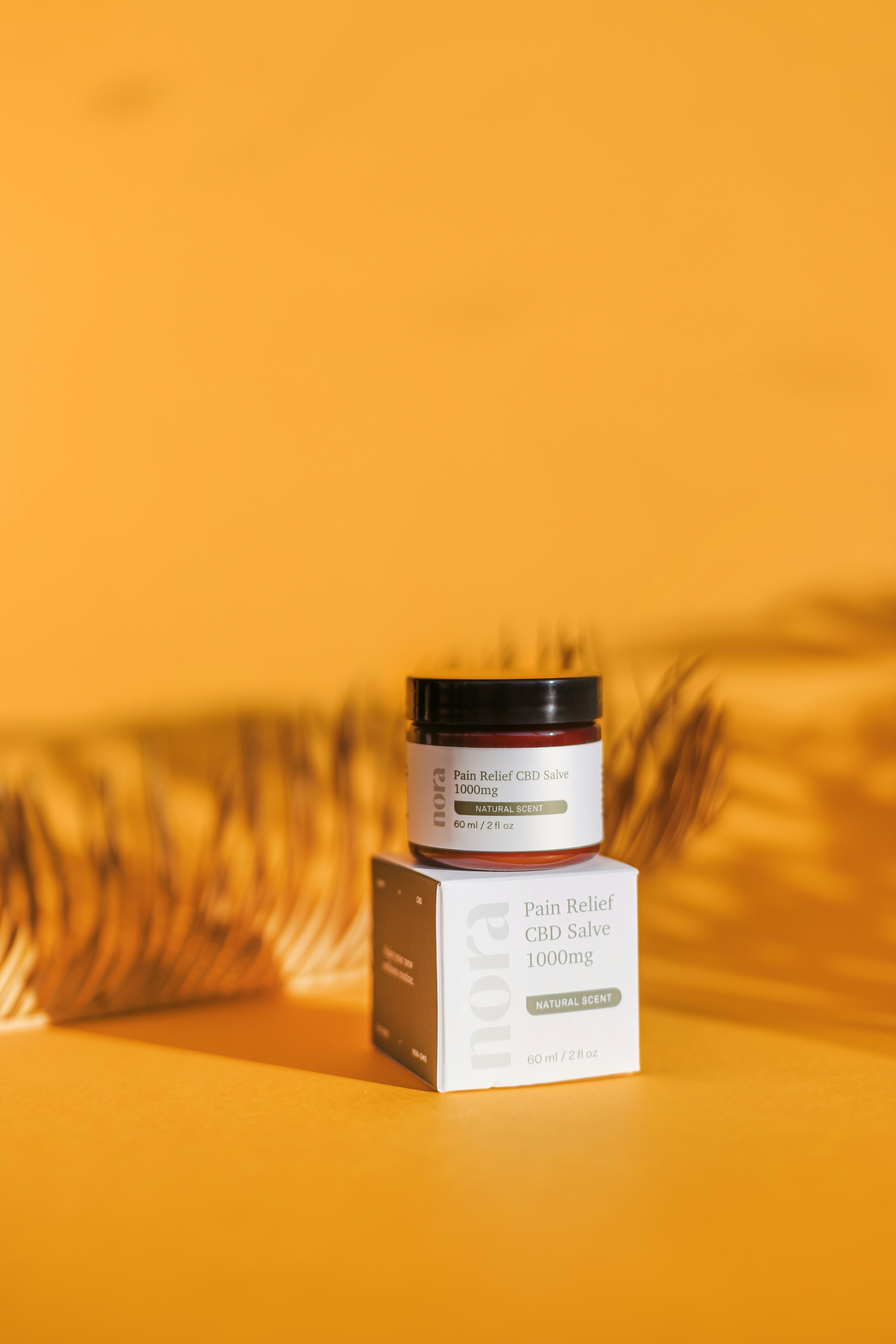 Photo by noratopicals