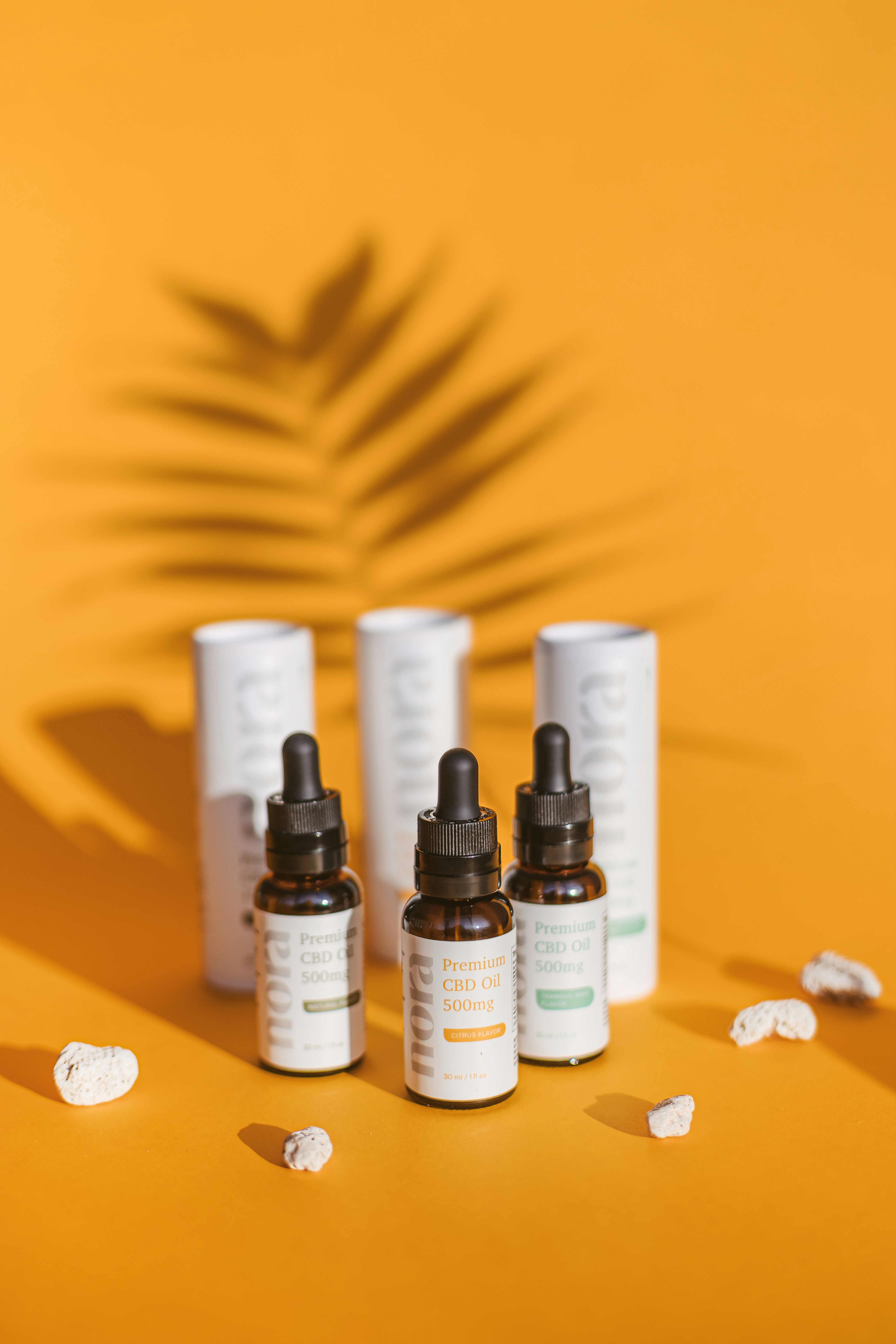 Photo by noratopicals