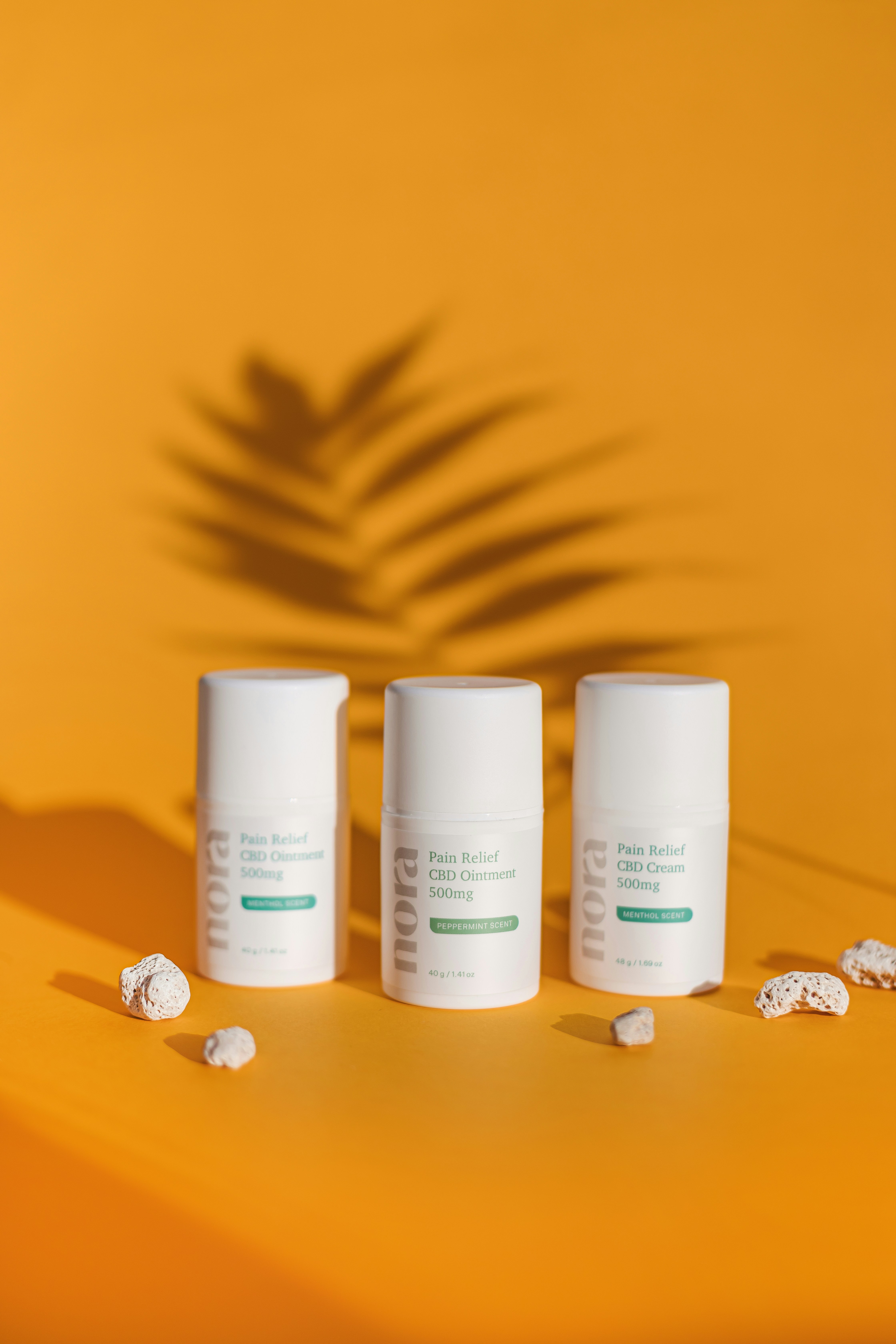 Photo by noratopicals