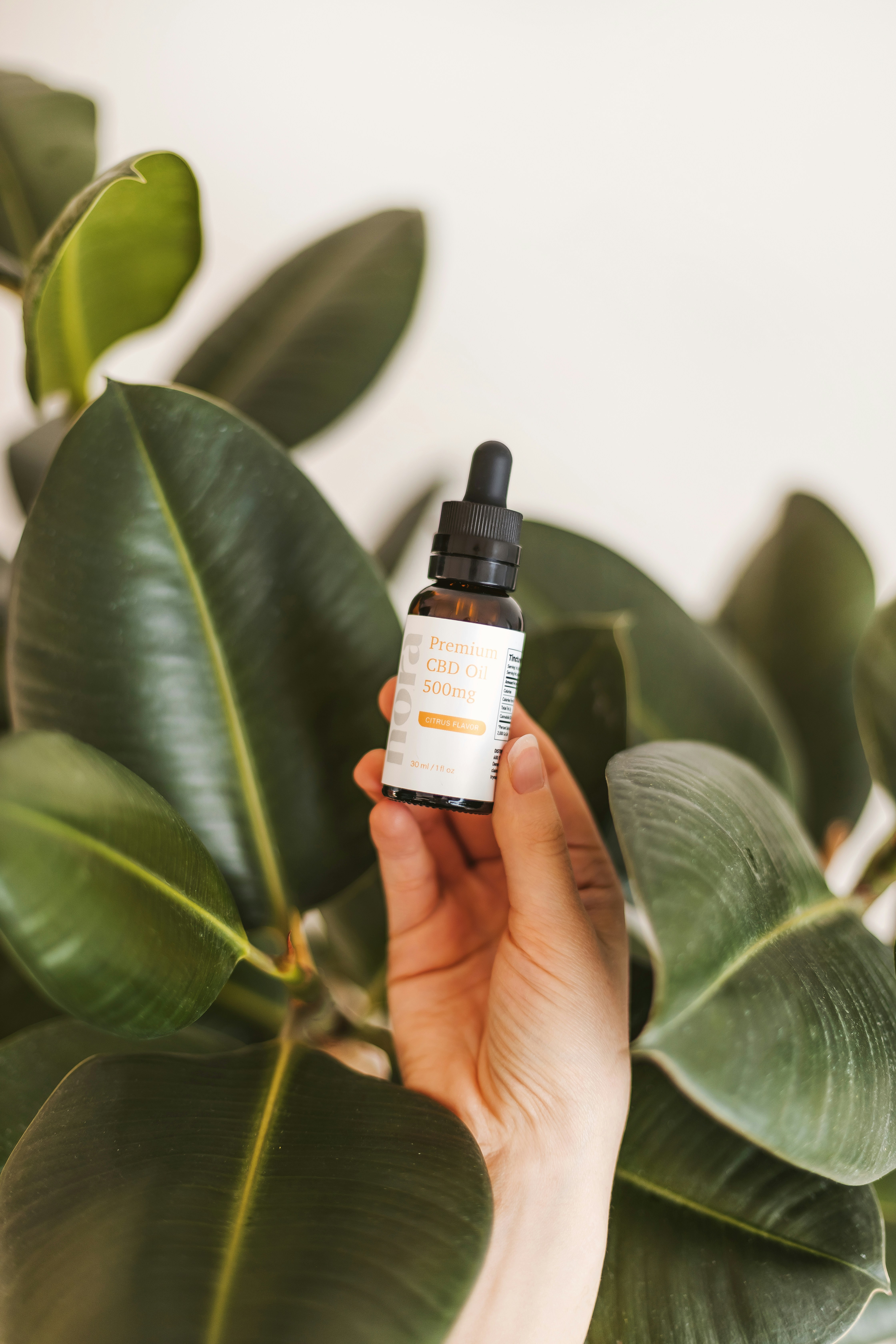 Photo by noratopicals