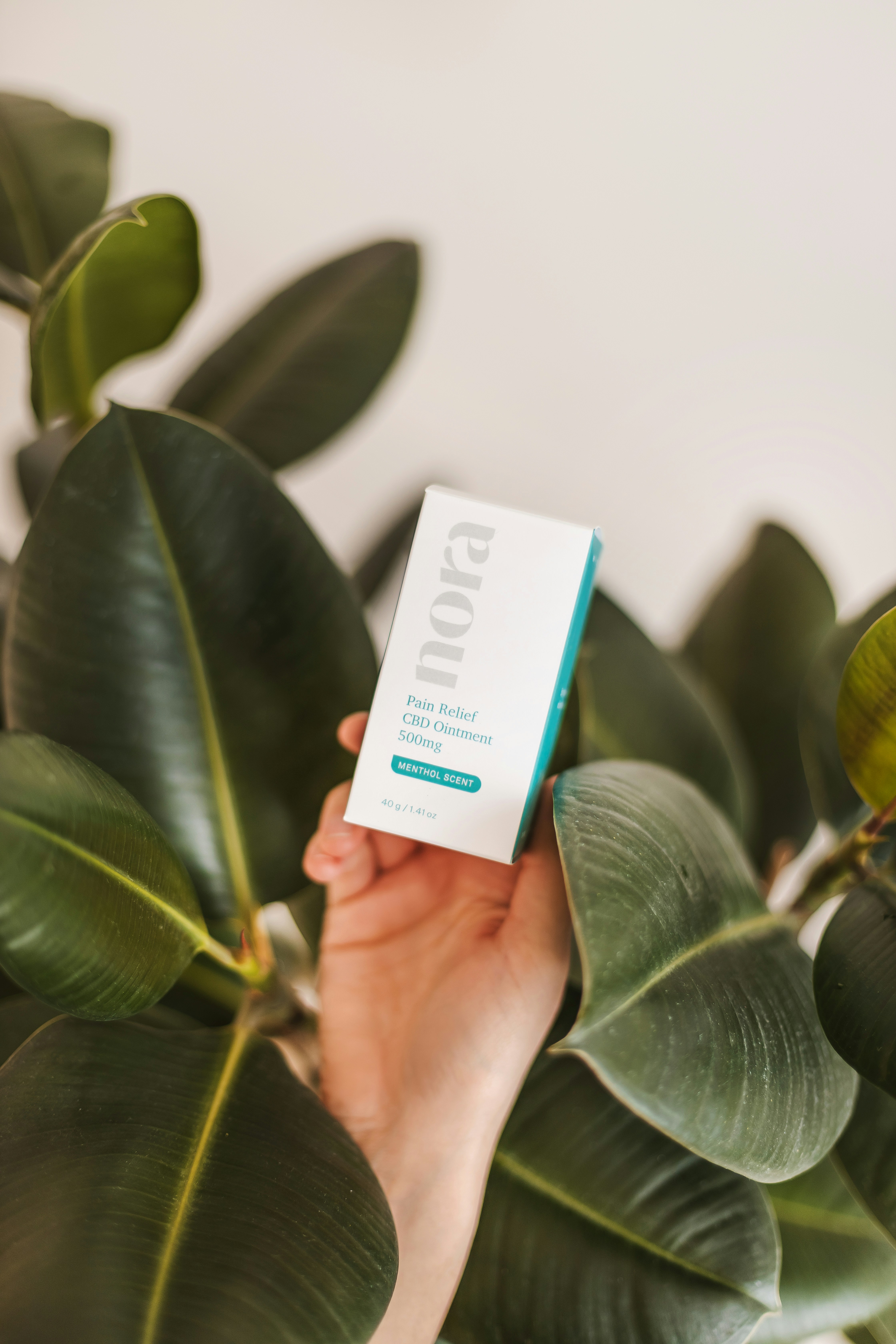 Photo by noratopicals