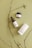 A minimalist arrangement featuring a dropper bottle, a jar, and a cylindrical container with skincare product labels on a light green surface. Delicate brown twigs are placed artistically around the products, enhancing the natural aesthetic.