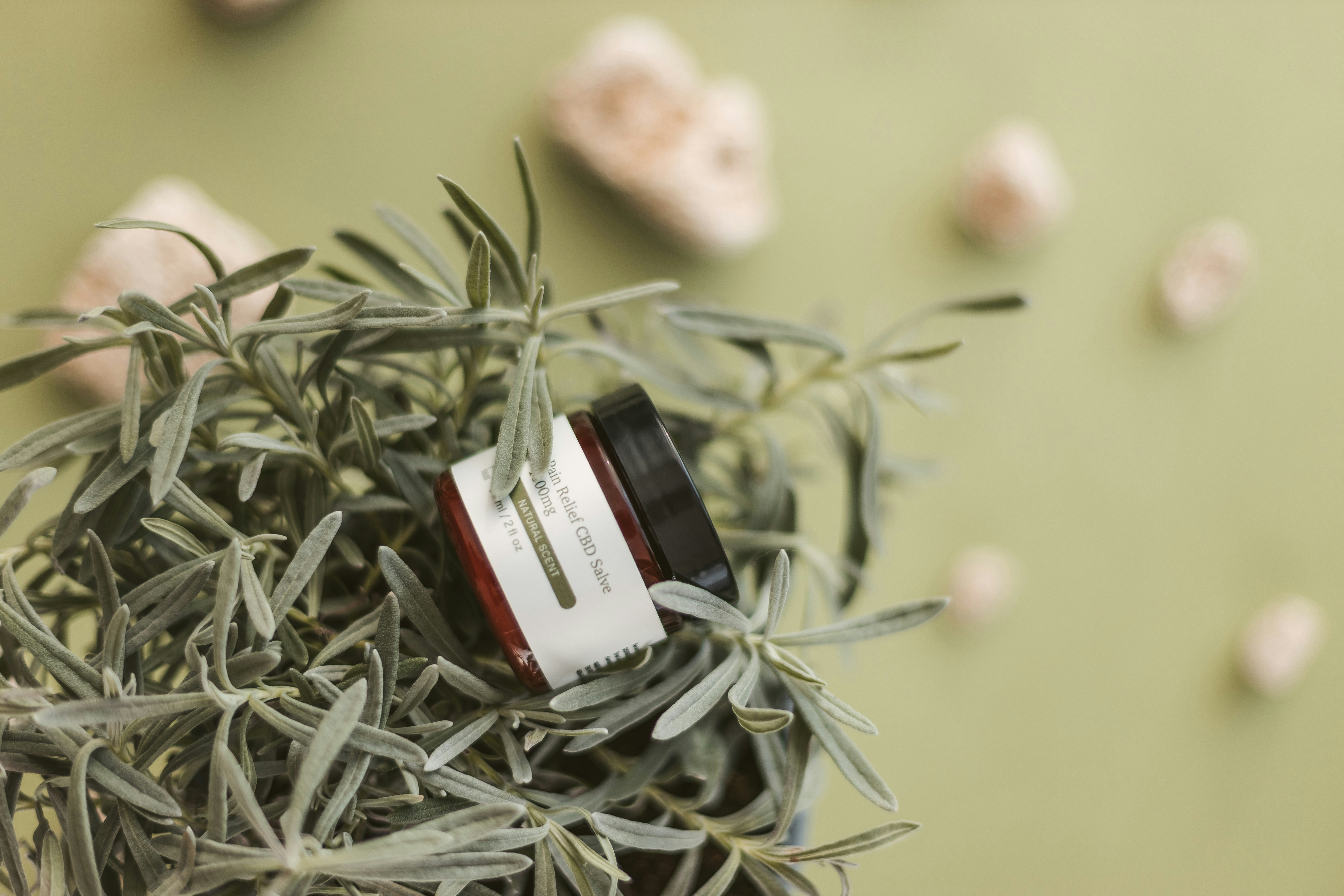 Photo by noratopicals