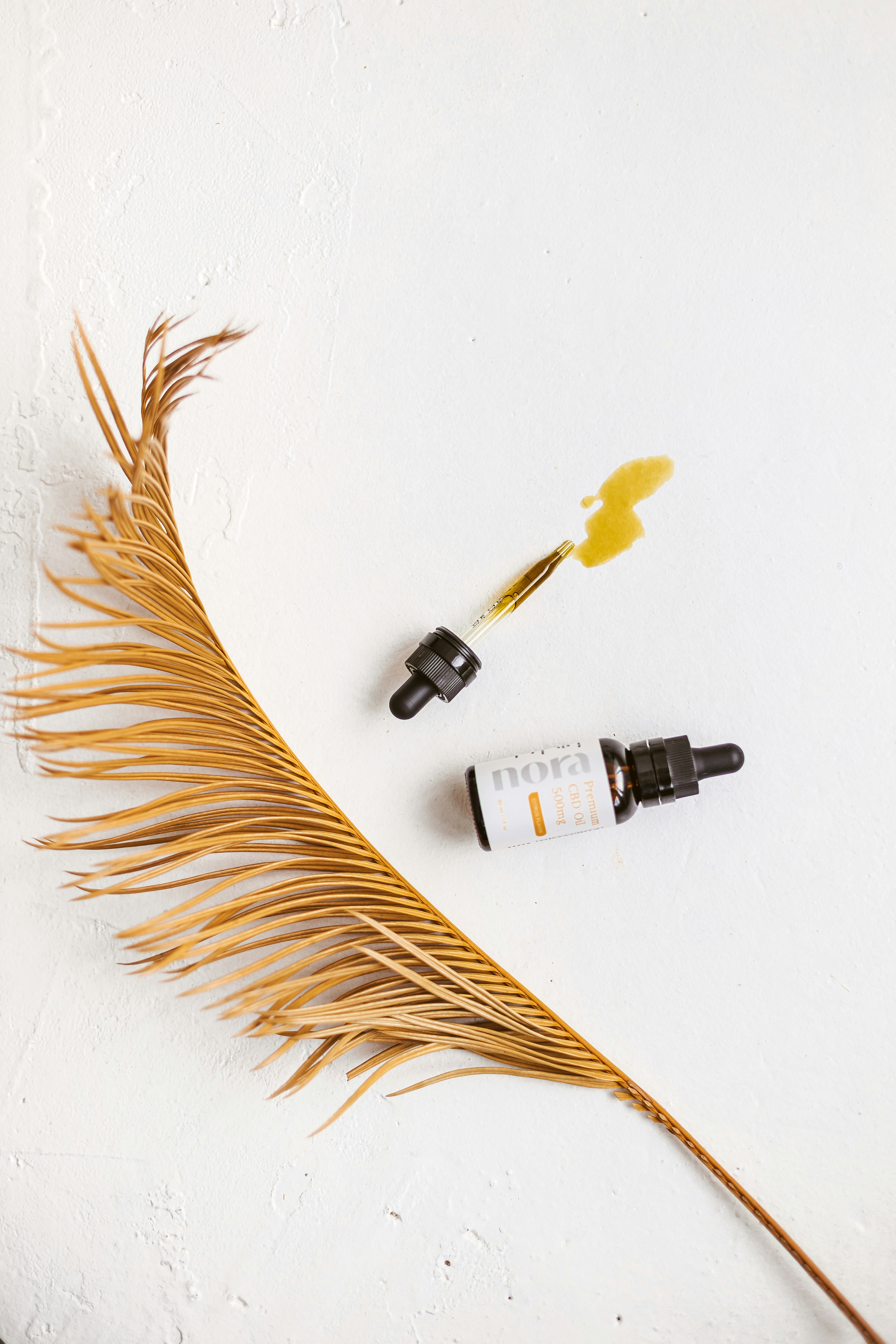 Photo by noratopicals