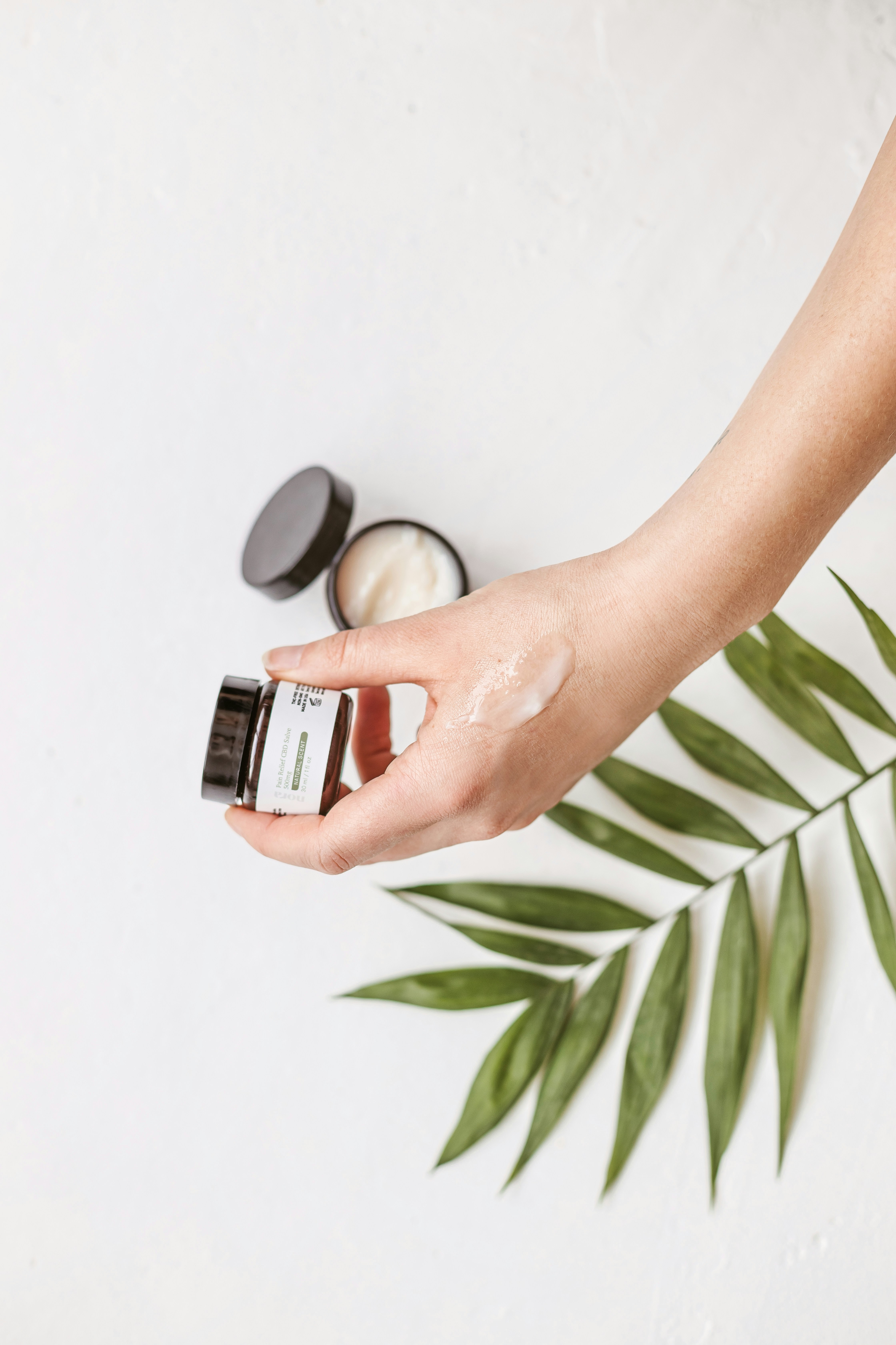 Photo by noratopicals