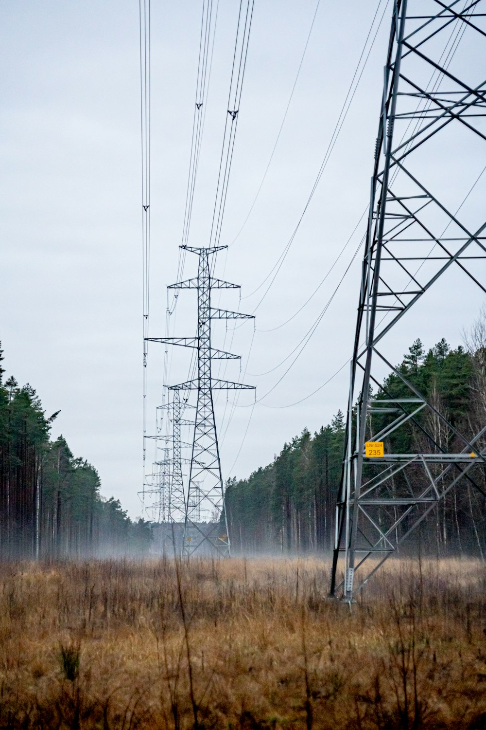 black electric post near green trees during daytime