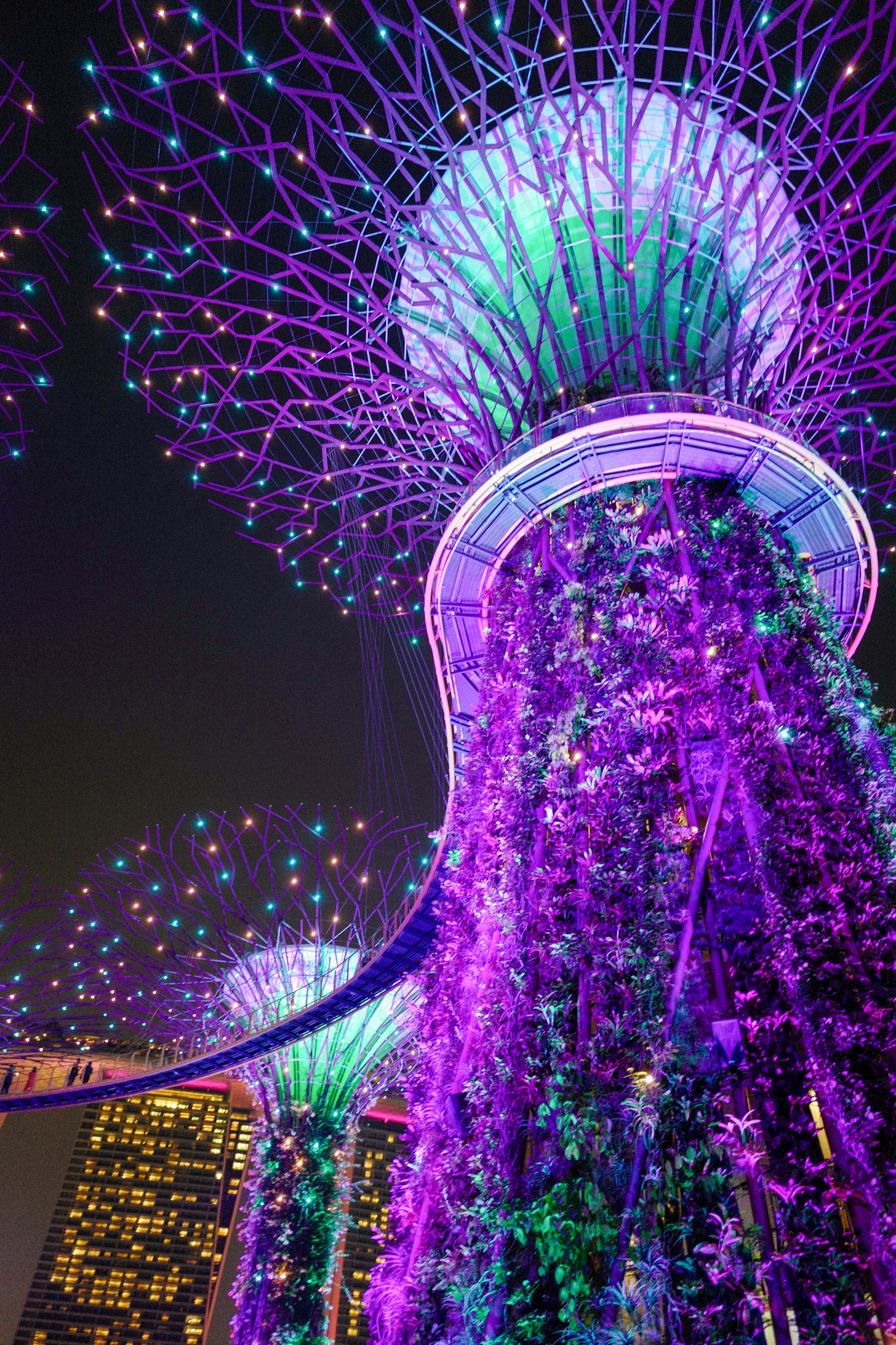 Árbol de Navidad iluminado de púrpura y azul