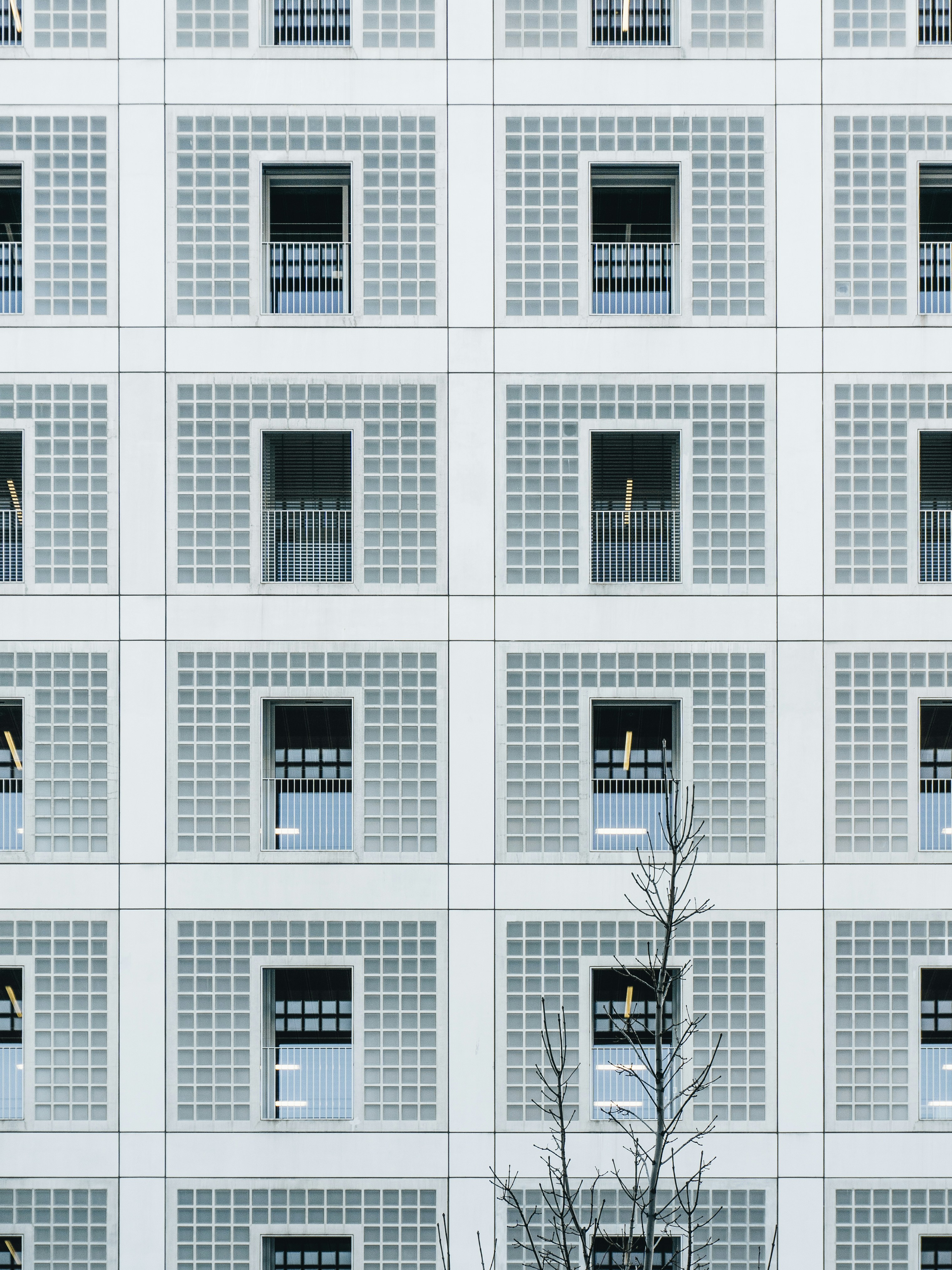 Anesthesia and the Mechanisms of Consciousness