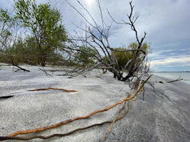 Desaturated landscape of the Patagonian steppe under a soft gray sky