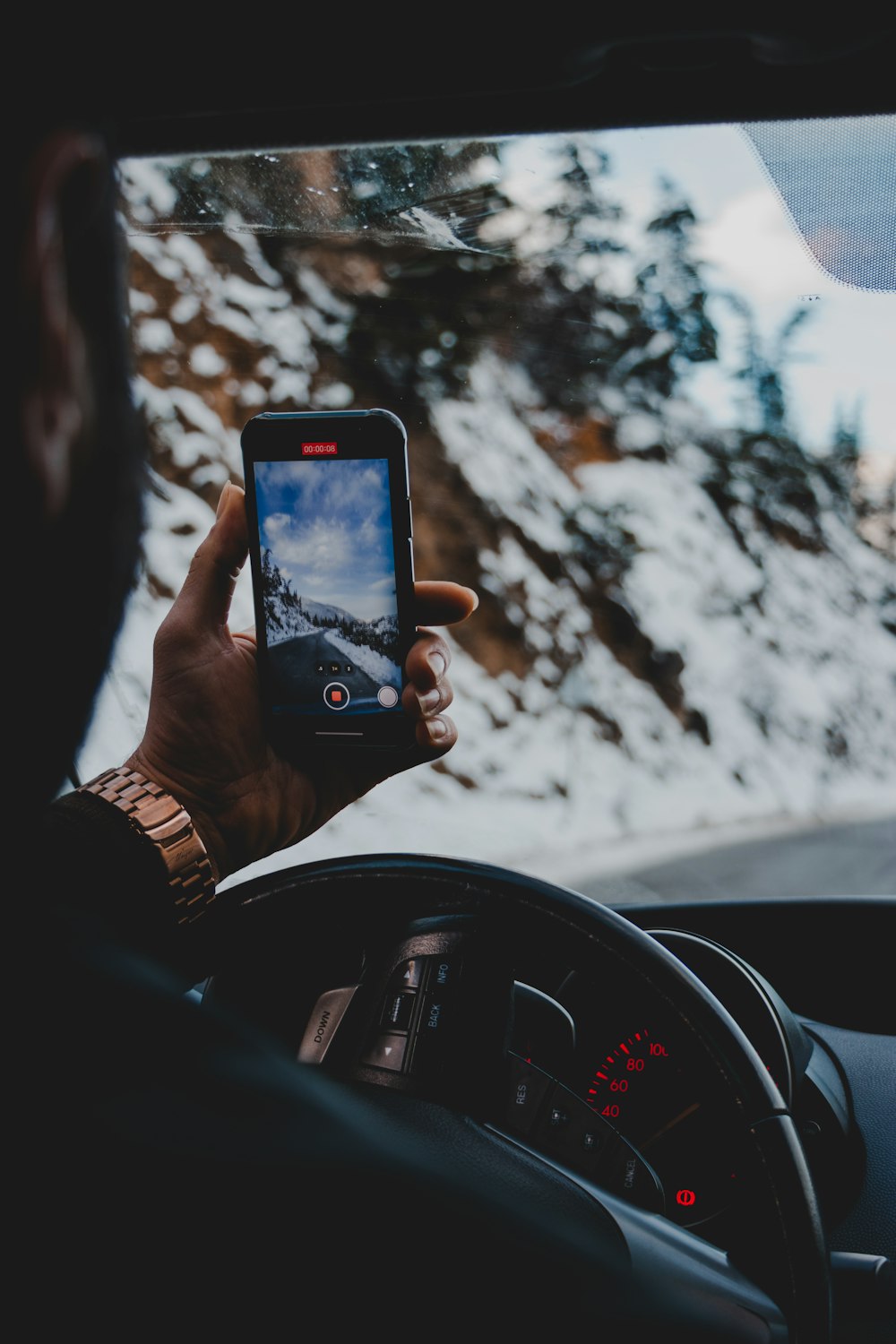 person holding iphone 6 taking photo of trees during daytime