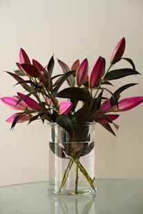 pink and green flower in clear glass vase