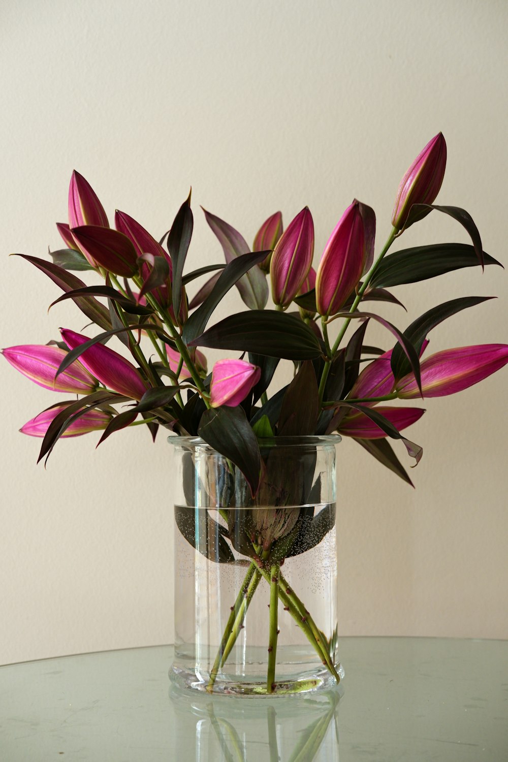 fleur rose et verte dans un vase en verre transparent