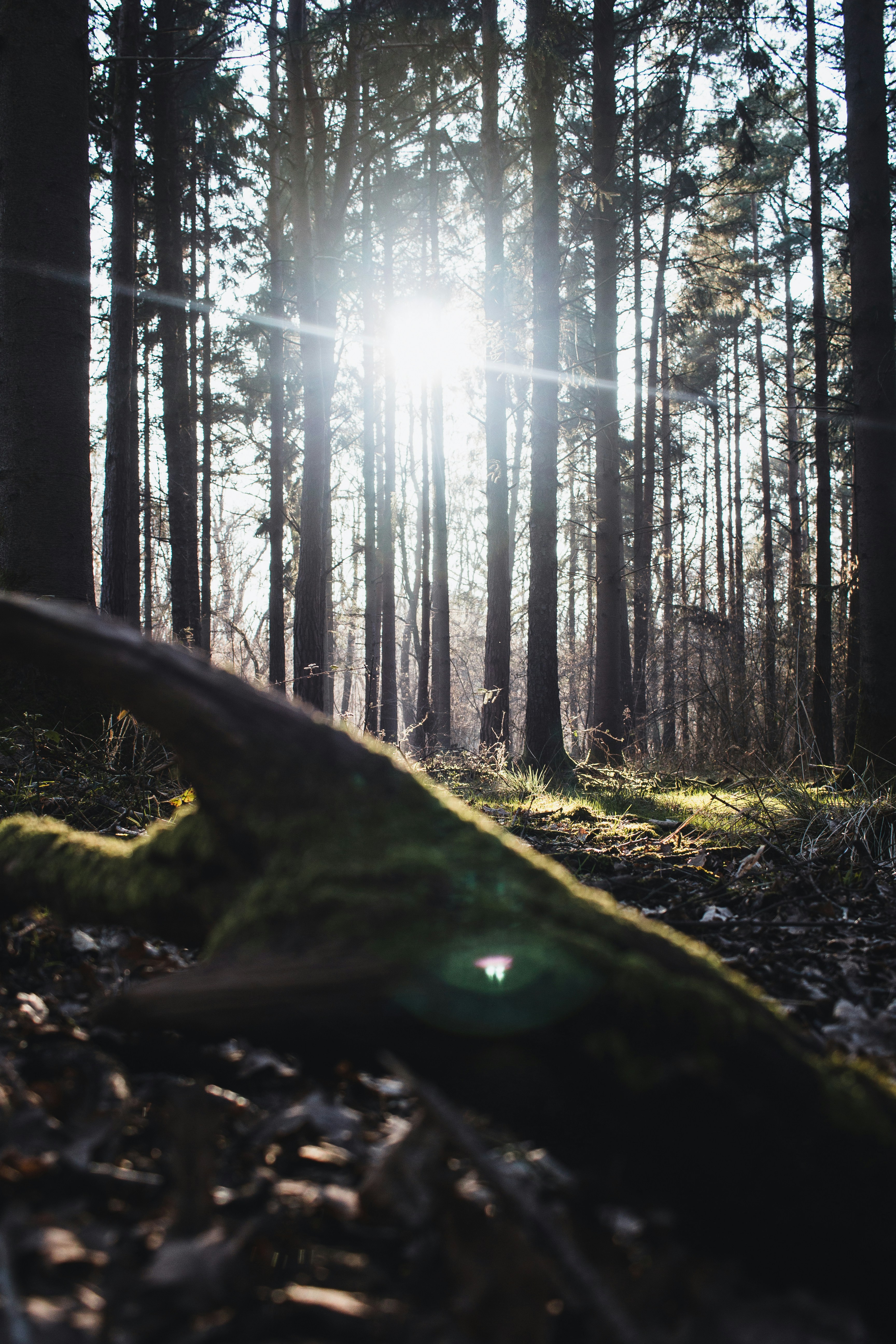 Photo by terraphotography