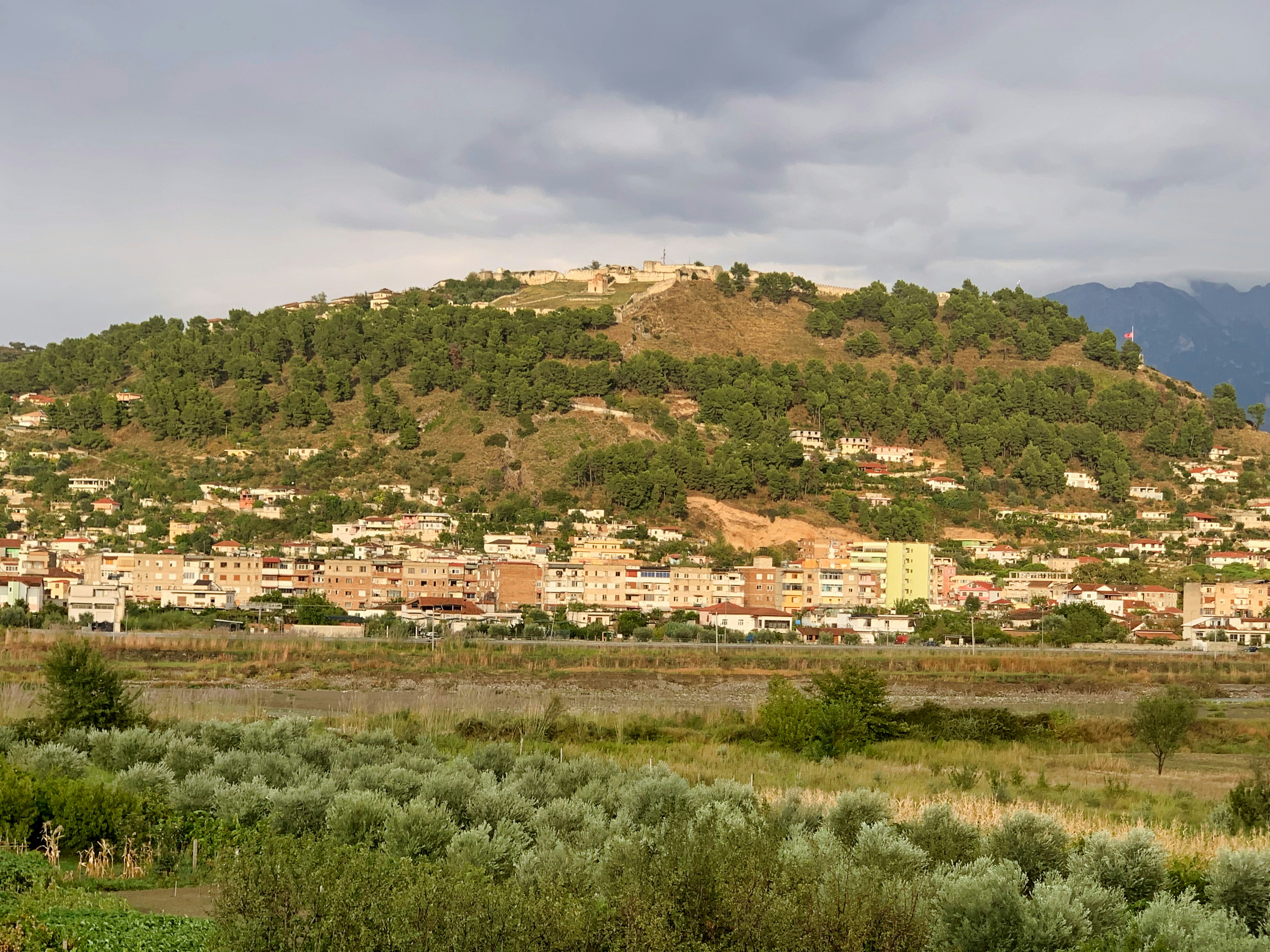Vineyard near Berat, Albania