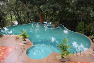 A uniquely shaped, turquoise swimming pool surrounded by lush green trees and foliage. The pool appears to have a tree integrated into its design, growing in the center of one of its sections. The poolside is bordered with tan tiles, and various potted plants decorate the area, complementing the natural scenery. The atmosphere is serene and tranquil, offering a harmonious blend of nature and leisure.