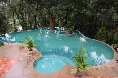 A uniquely shaped, turquoise swimming pool surrounded by lush green trees and foliage. The pool appears to have a tree integrated into its design, growing in the center of one of its sections. The poolside is bordered with tan tiles, and various potted plants decorate the area, complementing the natural scenery. The atmosphere is serene and tranquil, offering a harmonious blend of nature and leisure.