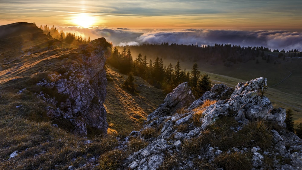 green trees on brown mountain during daytime