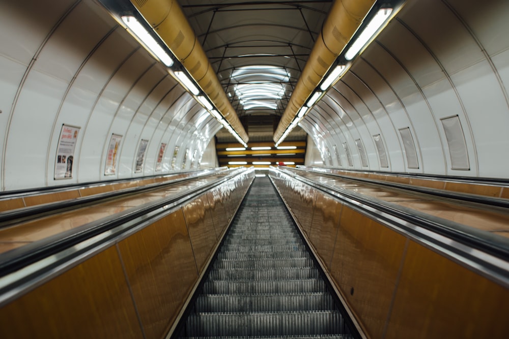 brown and gray escalator in a white room