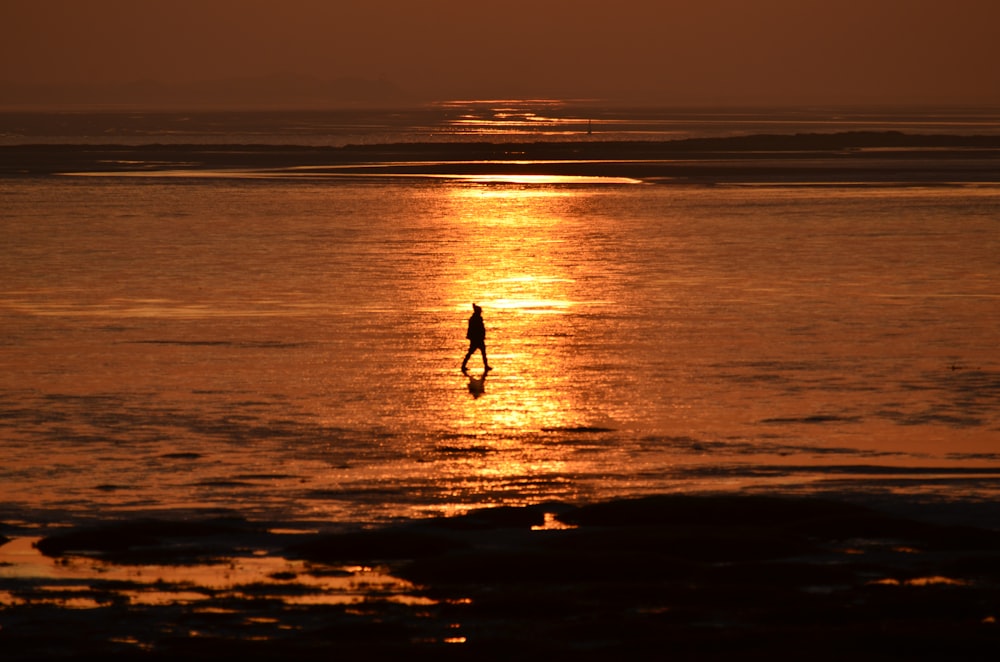 silhouette of man and woman walking on beach during sunset