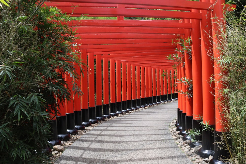 red wooden gate near green plants during daytime