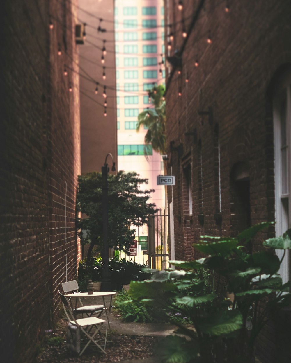 green plants on brown brick wall