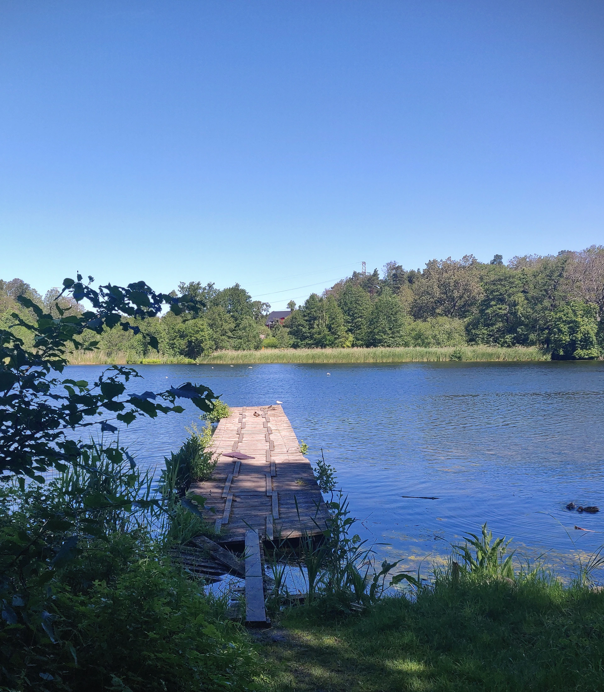 woman wearing yellow long-sleeved dress under white clouds and blue sky during daytime
