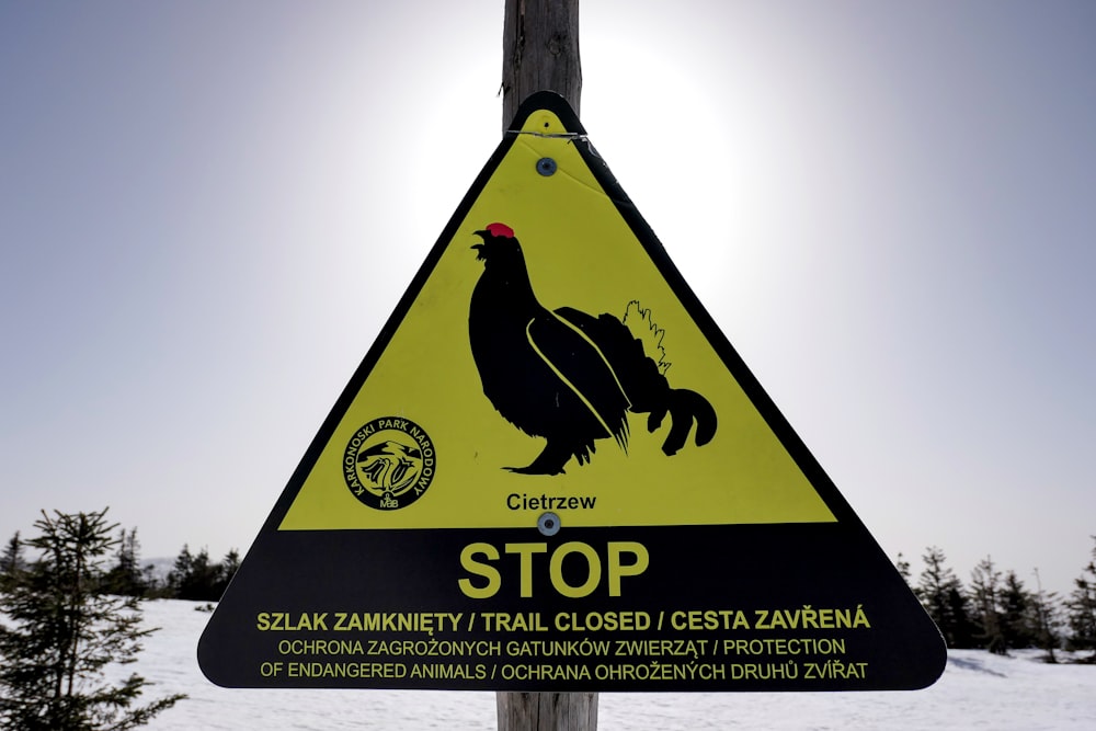 a yellow and black sign on a wooden pole