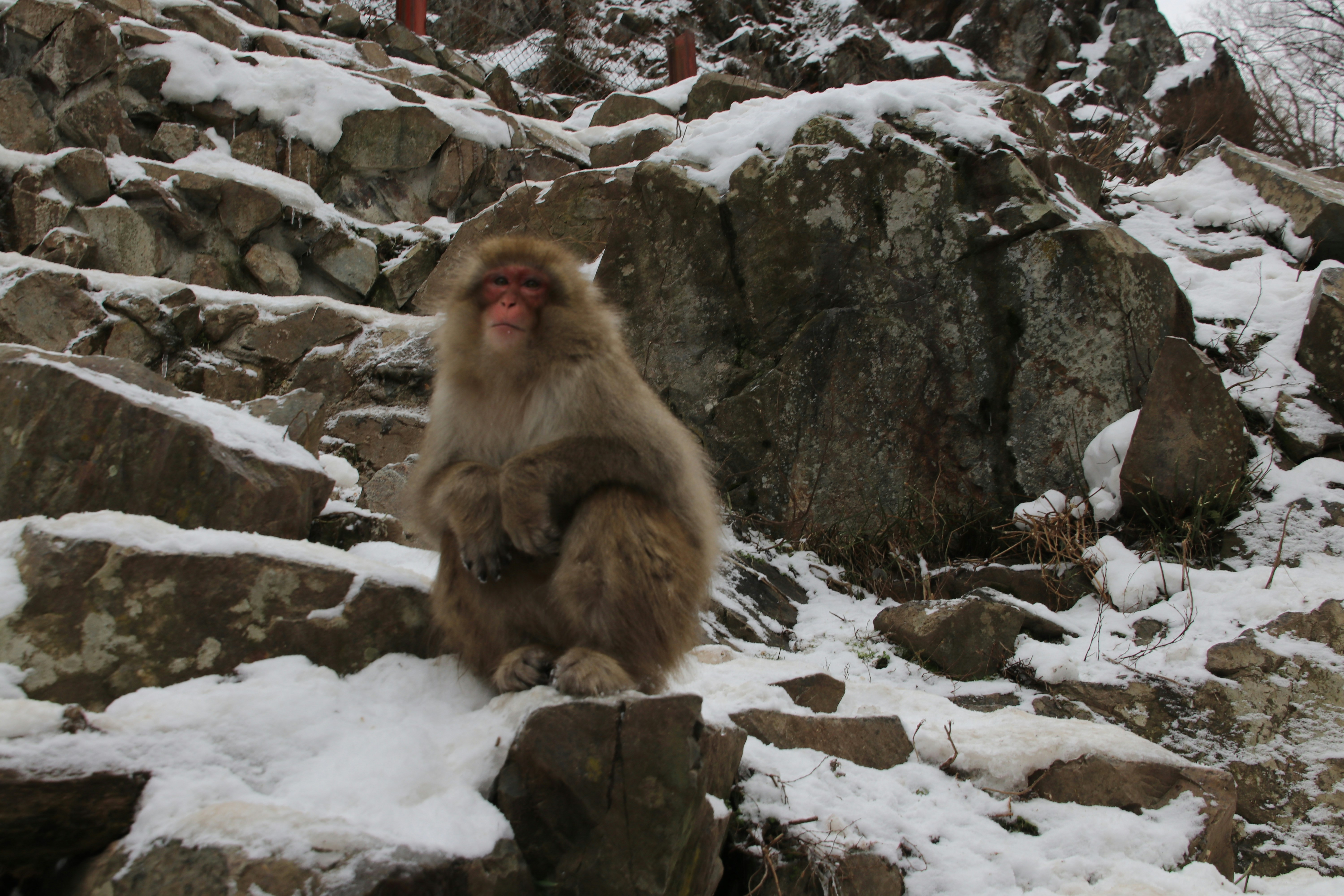 Photo by rinto_sarkar