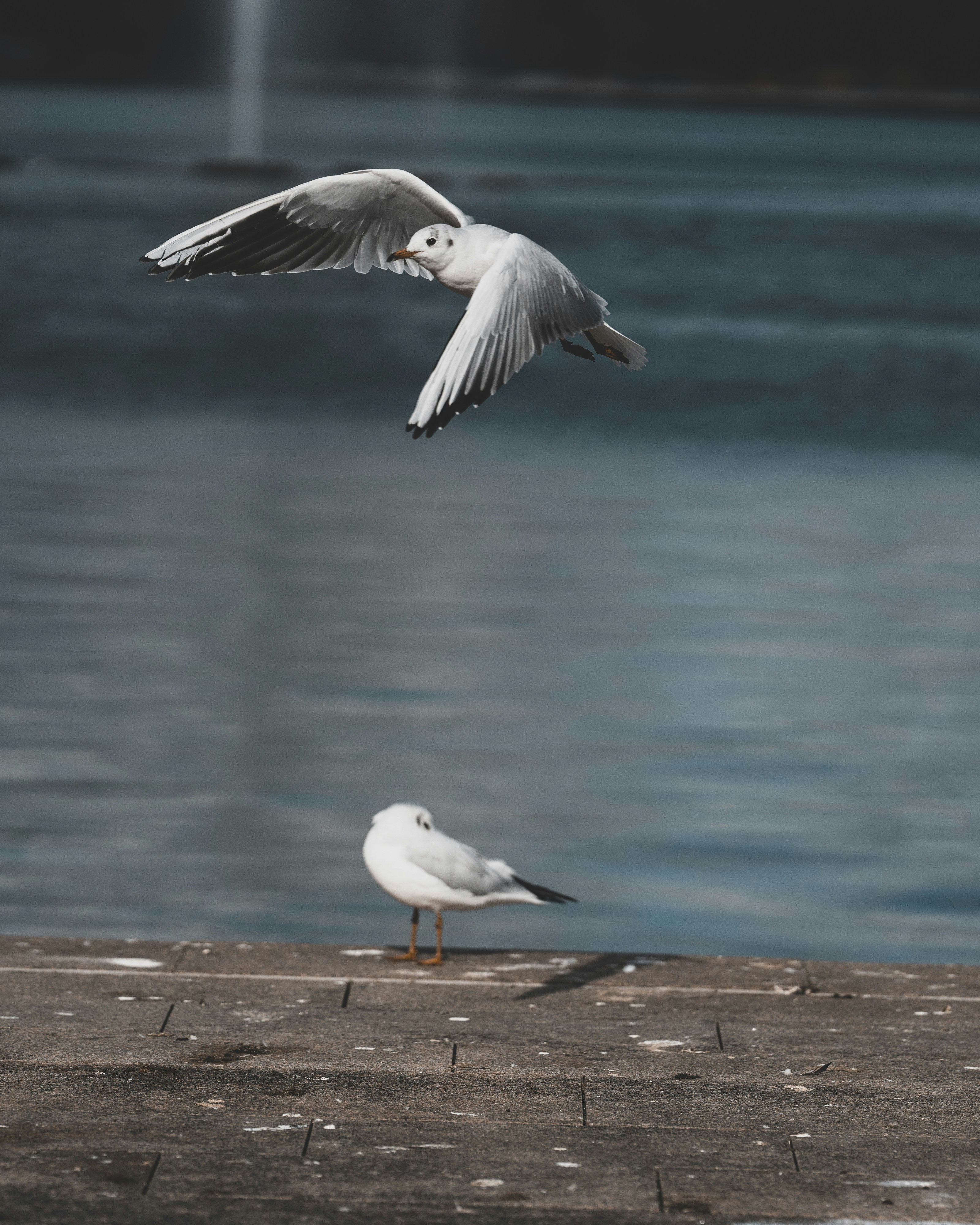 Photo by omarvellous14